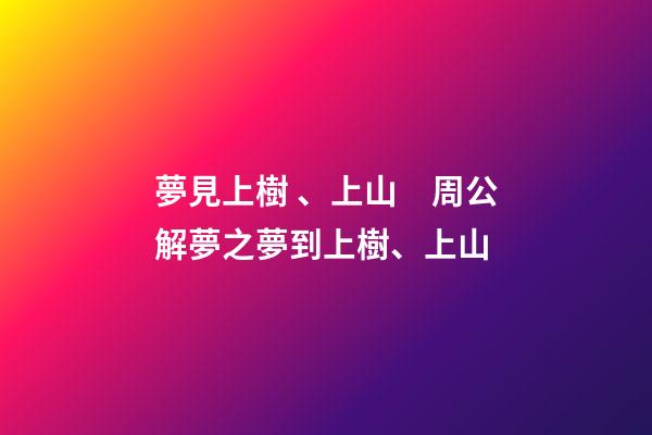夢見上樹、上山　周公解夢之夢到上樹、上山